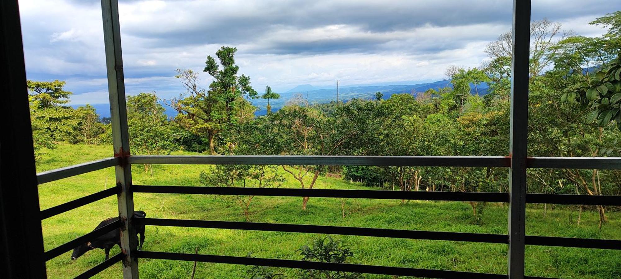 Rio Celeste Nature View Upala 外观 照片